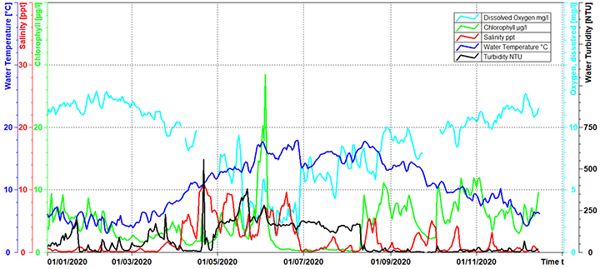 Inner Clyde Estuary surface graph